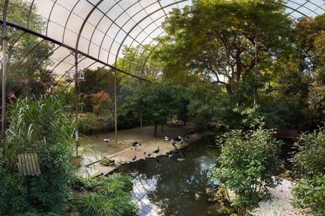 Paris`s 222-year-old zoo calls for help to restore historic building 